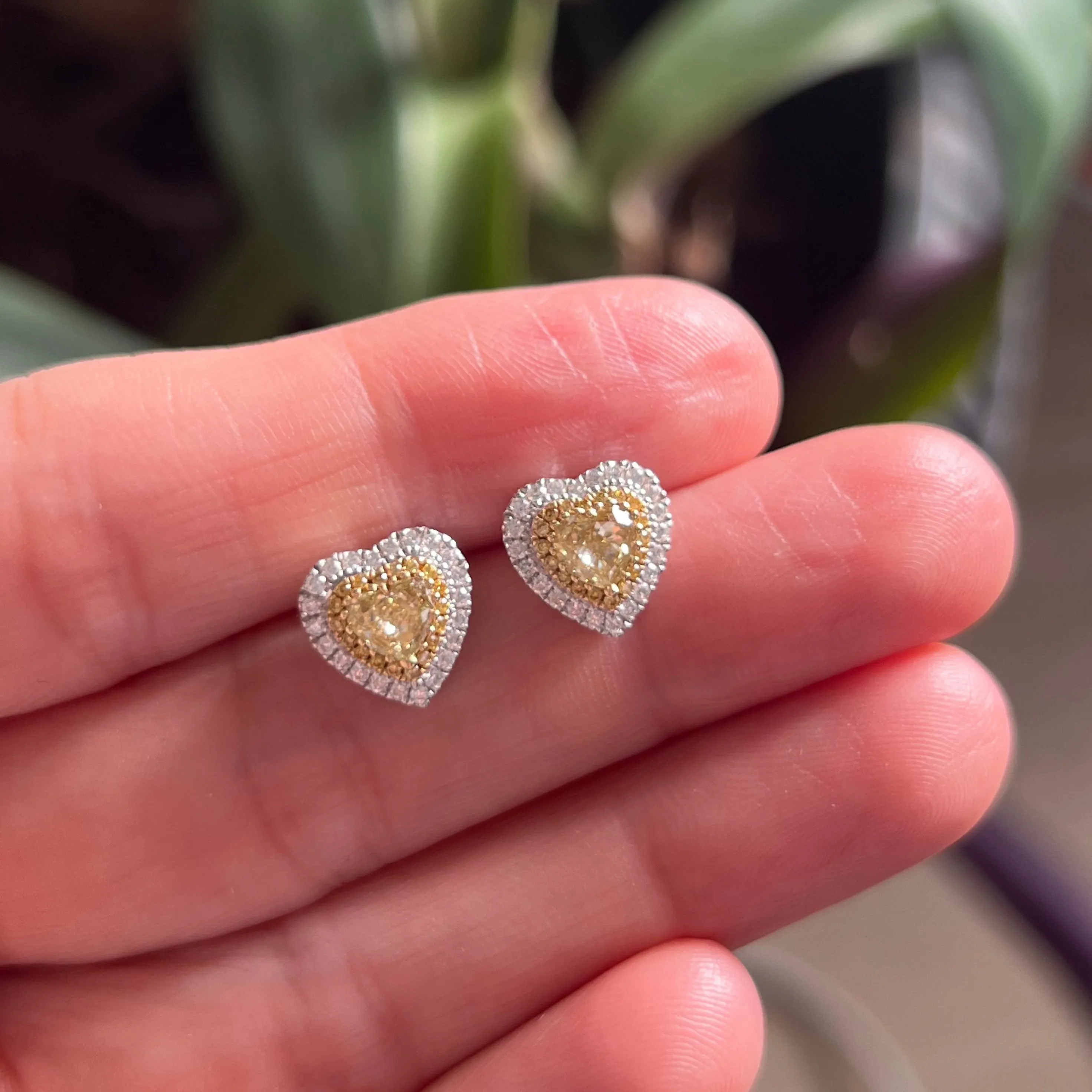 Heart Shape Fancy Yellow Diamond Studs